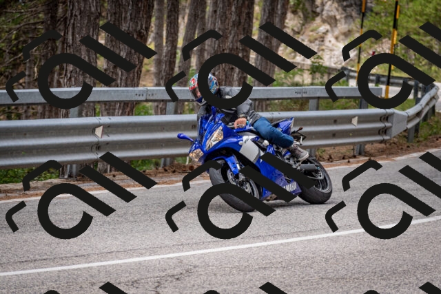 202508031301-DSC_4049_c2