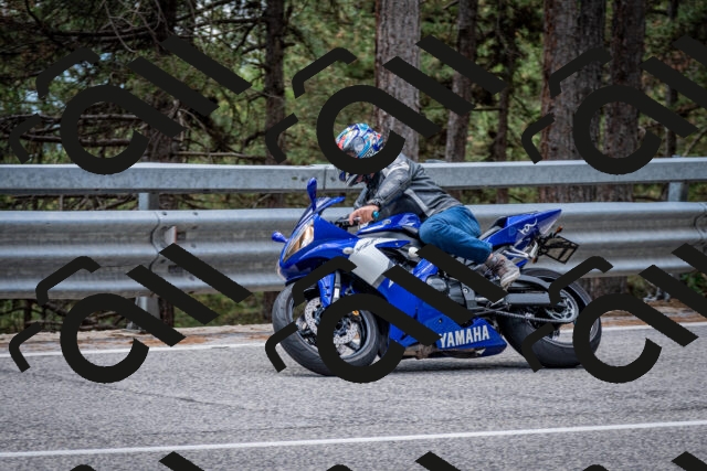 202508031301-DSC_4050_c2