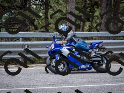 202508031301-DSC_4050_c2