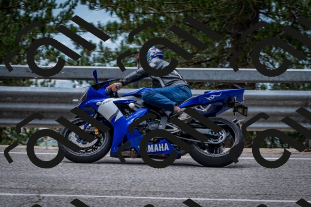 202508031301-DSC_4051_c2