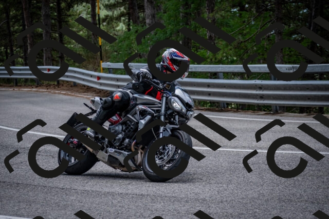 202508031301-DSC_4052_c2