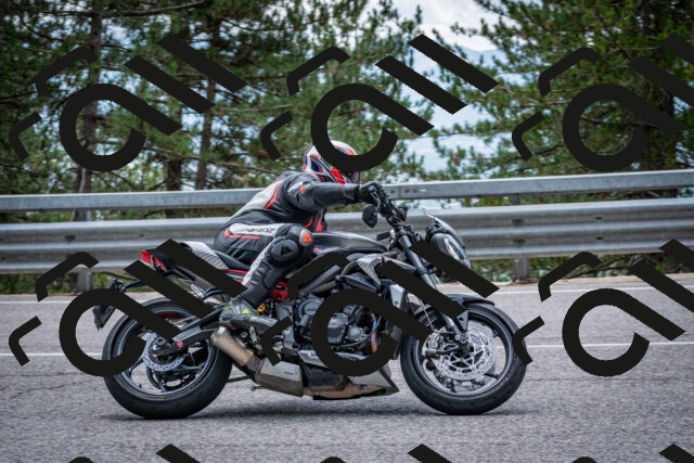 202508031301-DSC_4053_c2