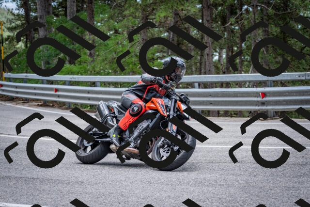 202508031302-DSC_4055_c2