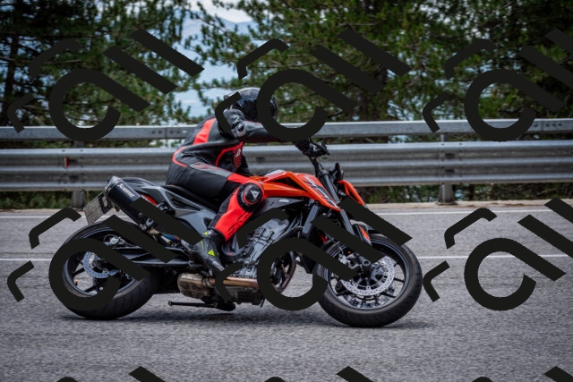 202508031302-DSC_4056_c2