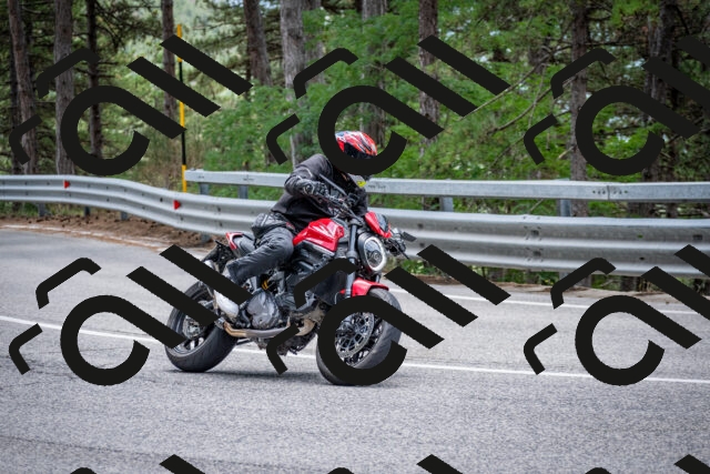 202508031302-DSC_4057_c2