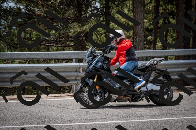 202508031303-DSC_4060_c2