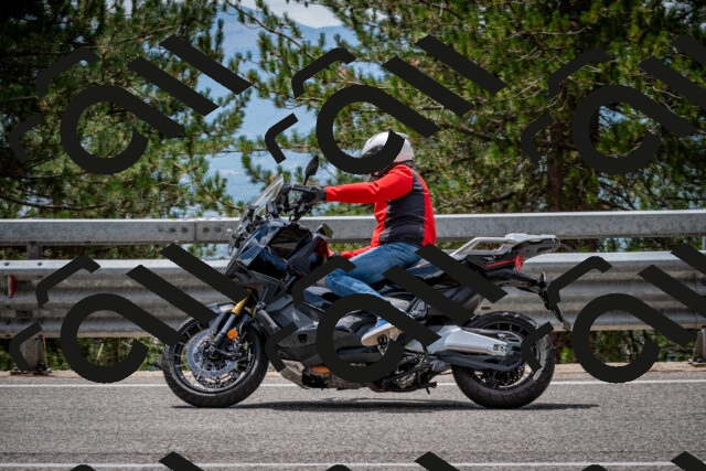 202508031303-DSC_4061_c2