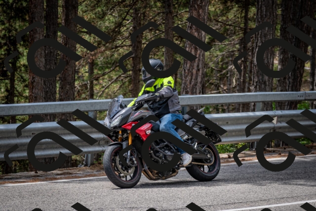 202508031305-DSC_4062_c2