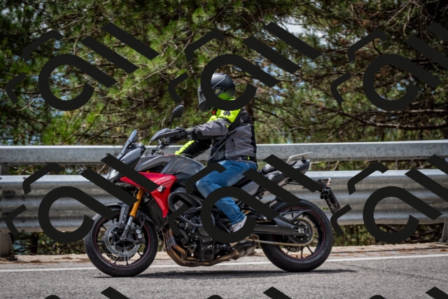 202508031305-DSC_4063_c2