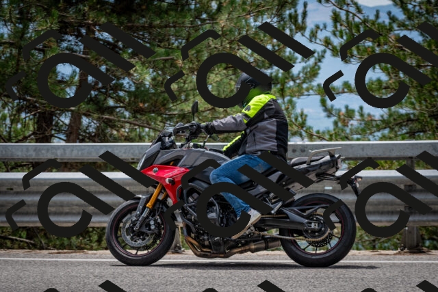 202508031305-DSC_4064_c2