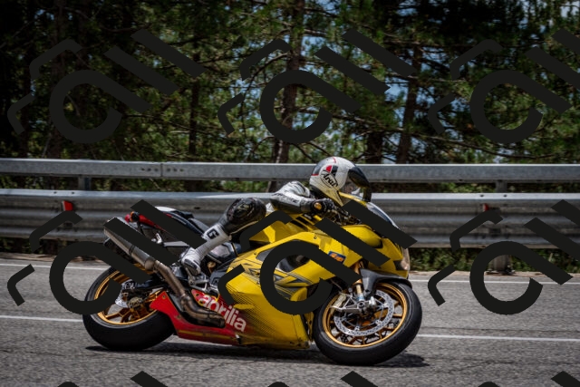 202508031305-DSC_4068_c2