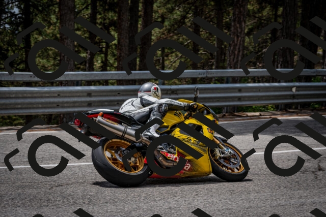 202508031305-DSC_4070_c2