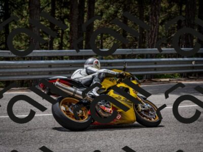 202508031305-DSC_4070_c2