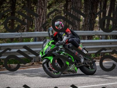 202508031306-DSC_4072_c2