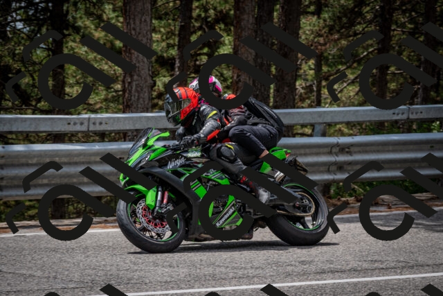 202508031306-DSC_4073_c2