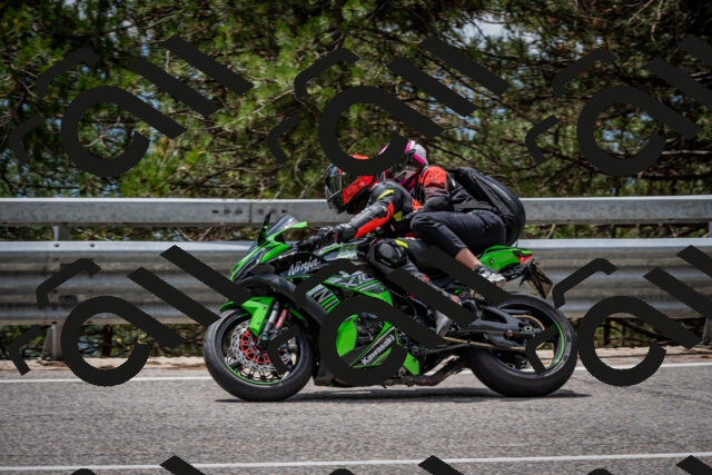 202508031306-DSC_4074_c2