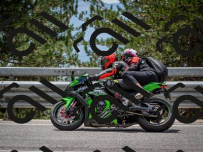 202508031306-DSC_4075_c2