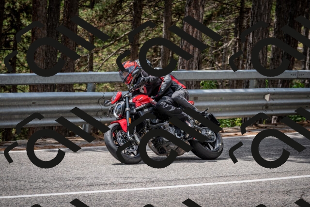 202508031306-DSC_4076_c2