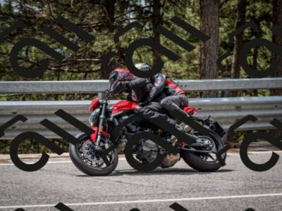 202508031306-DSC_4077_c2