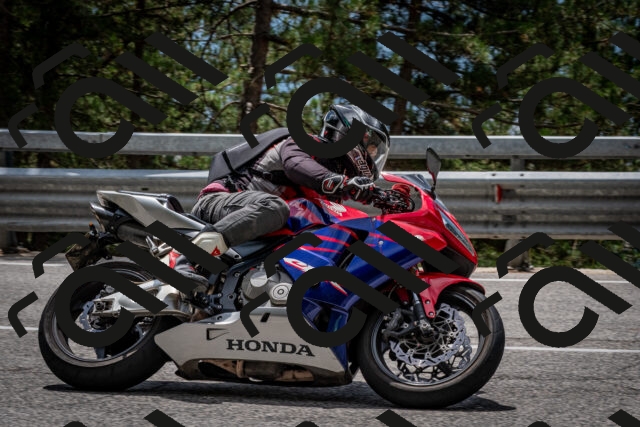 202508031307-DSC_4082_c2