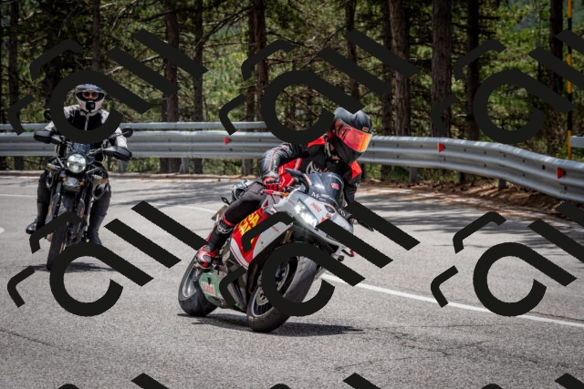 202508031307-DSC_4084_c2