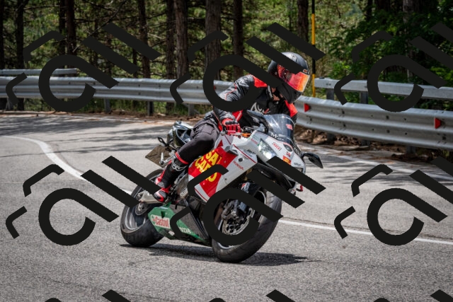 202508031307-DSC_4085_c2