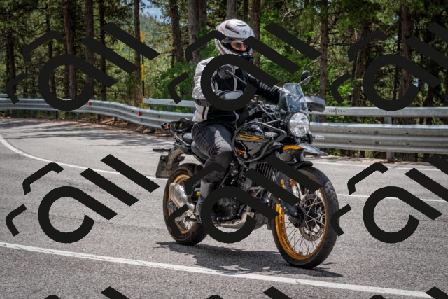 202508031307-DSC_4087_c2