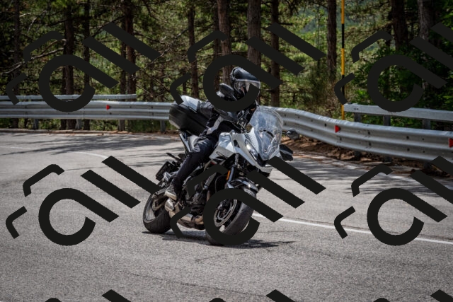 202508031309-DSC_4088_c2