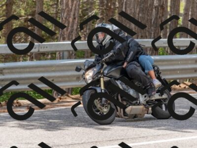 202508031325-DSC_2526_c4_