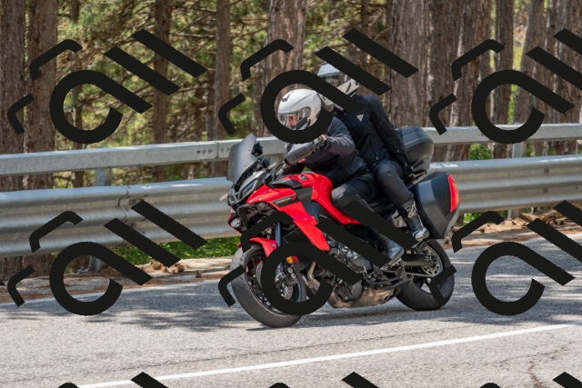 202508031336-DSC_2555_c4_