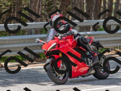 202508031340-DSC_2561_c4_