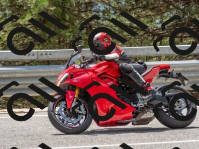 202508031340-DSC_2562_c4_