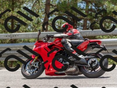 202508031340-DSC_2563_c4_