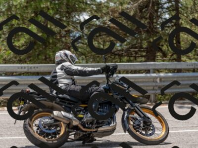 202508031341-DSC_2569_c4_