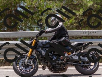 202508031353-DSC_2615_c4_