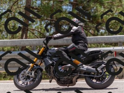 202508031353-DSC_2616_c4_