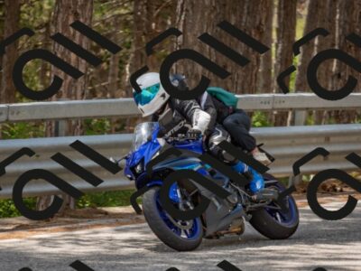 202508031353-DSC_2621_c4_