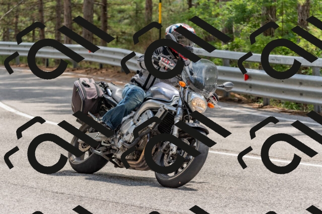 202508031403-DSC_2628_c4_