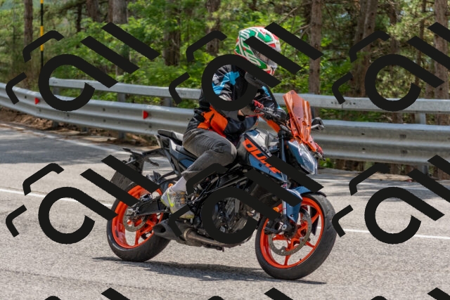 202508031403-DSC_2629_c4_