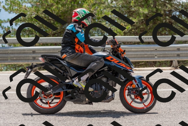 202508031403-DSC_2630_c4_