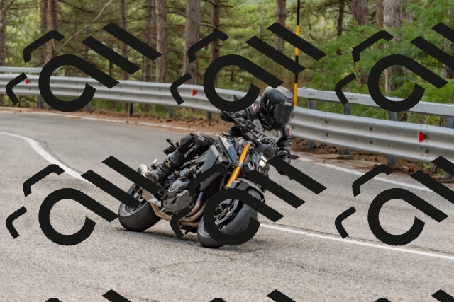 202508031404-DSC_2631_c4_