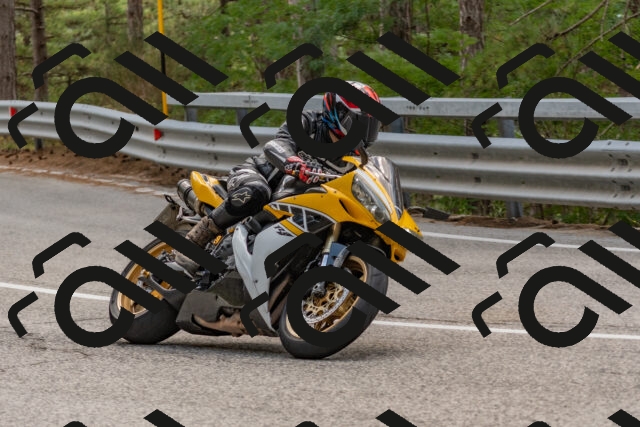 202508031405-DSC_2643_c4_