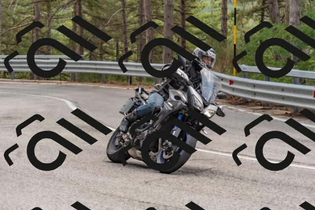 202508031406-DSC_2648_c4_