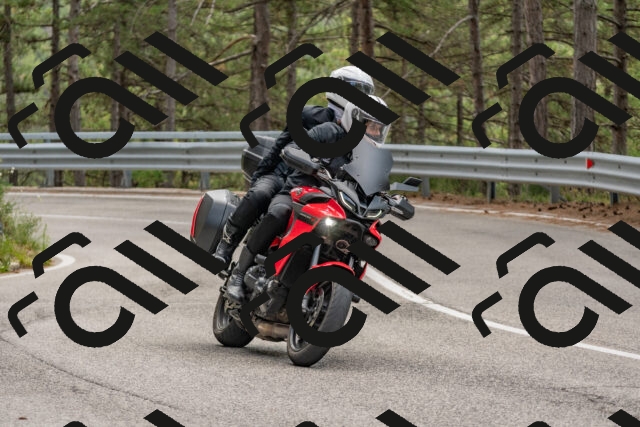 202508031410-DSC_2654_c4_