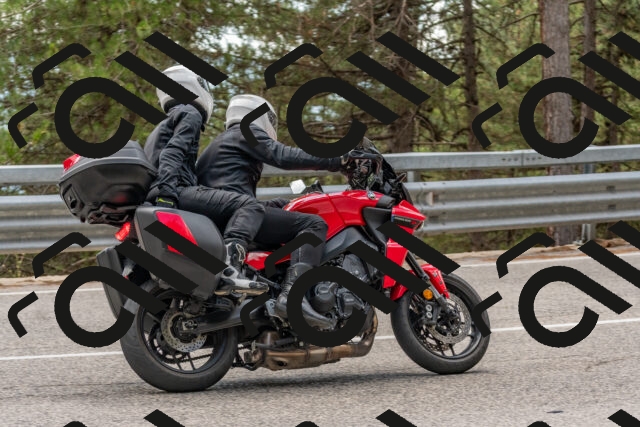 202508031410-DSC_2657_c4_