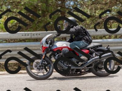 202508031420-DSC_2662_c4_