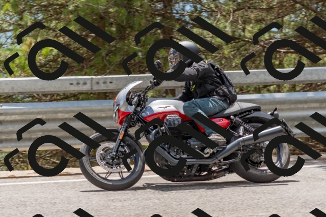 202508031420-DSC_2662_c4_