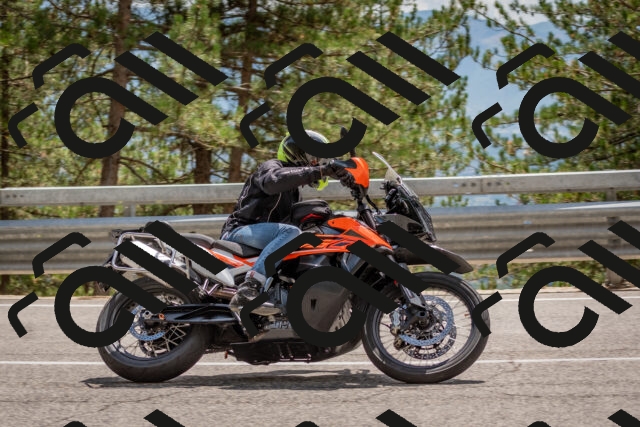 202508031420-DSC_2665_c4_