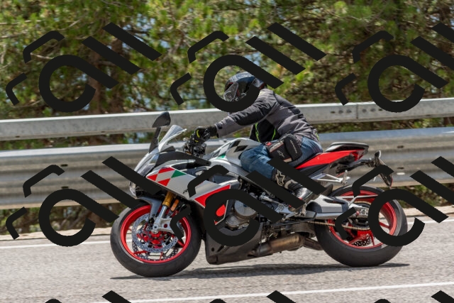 202508031421-DSC_2668_c4_