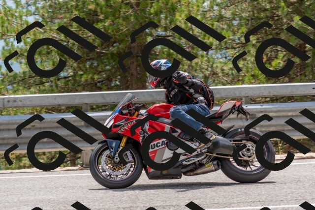 202508031423-DSC_2686_c4_